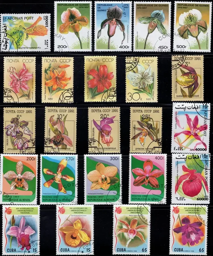 50Pcs/Lot Orchid Stamp Topic All Different From Many Countries NO Repeat Postage Stamps with Post Mark for Collecting