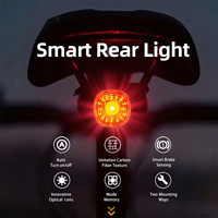Smart Bicycle Brake Light IPx6 Taillight Type-C Bike Tail Rear Light Auto Stop LED Riding Warning Cycling Light