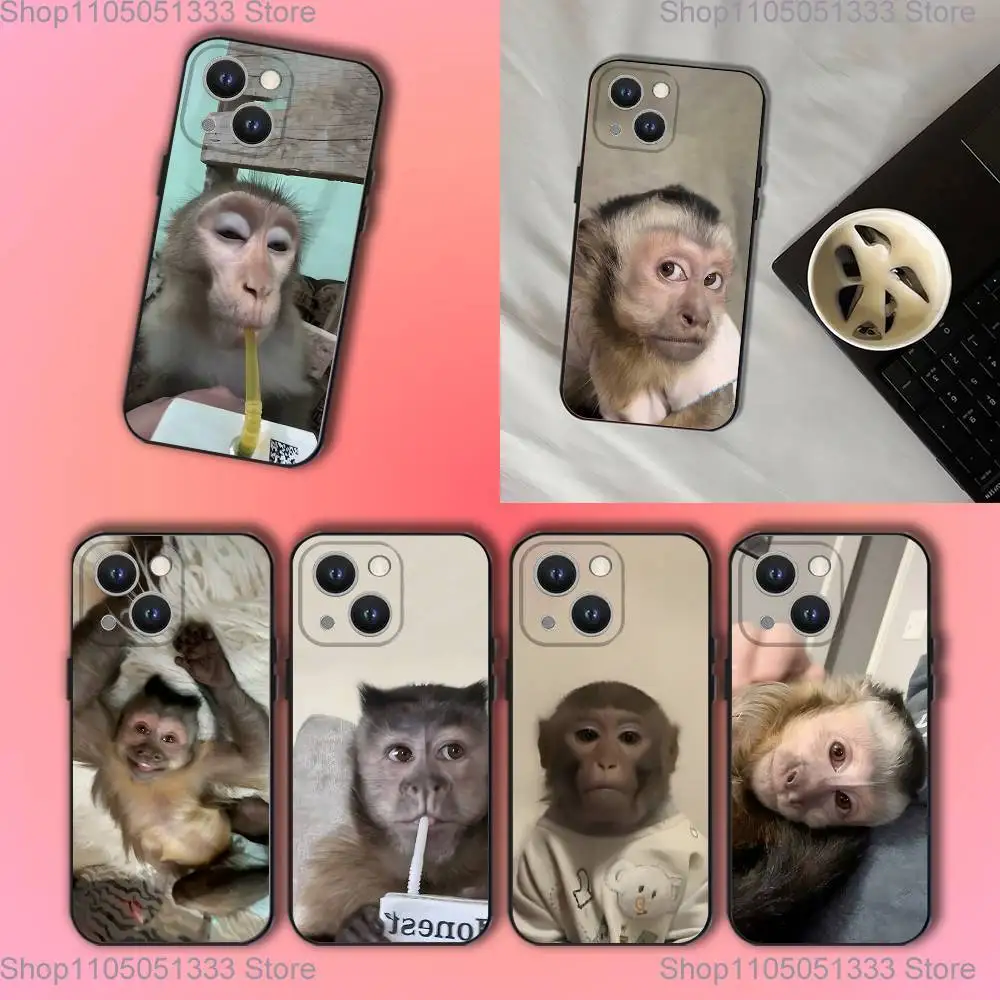 

World Map Travel Plans Phone Case For iPhone 17,16,15,14,13,12,11,Pro,XS,Max,XR,Plus,E,SE4,Mini Black Soft Cover