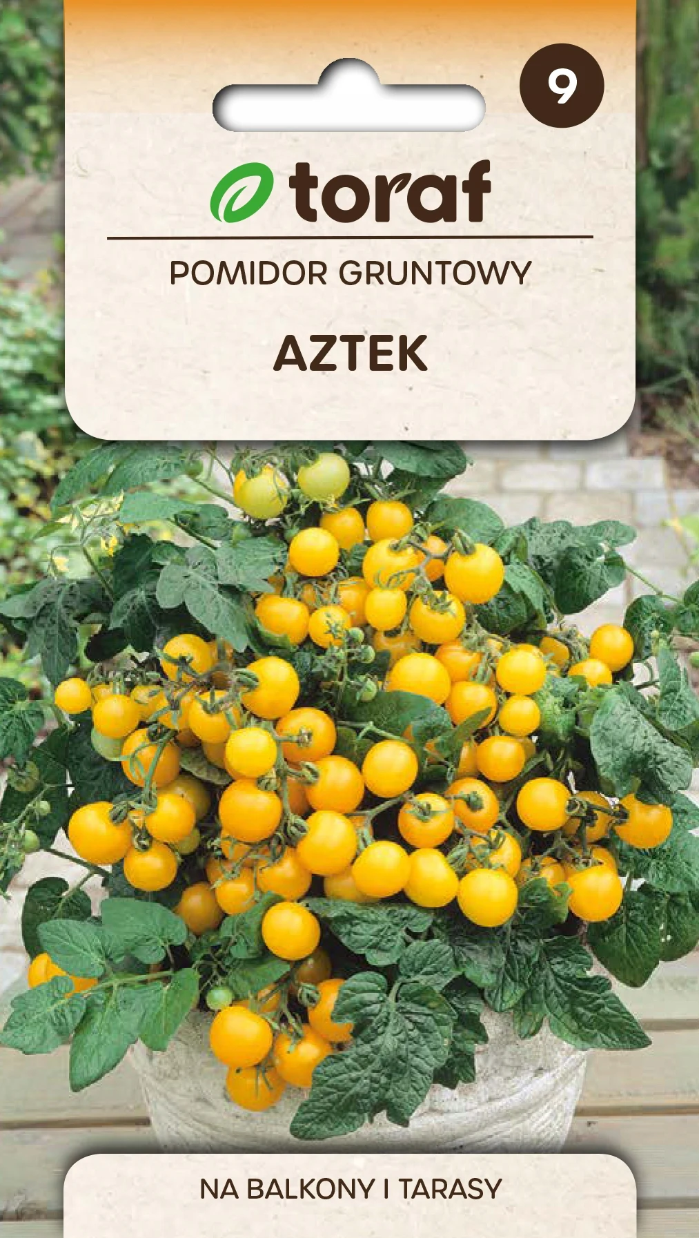 Tomatenzaden 'AZTEK' Dwergcocktailtomaat voor balkon 0,3g Toraf 189