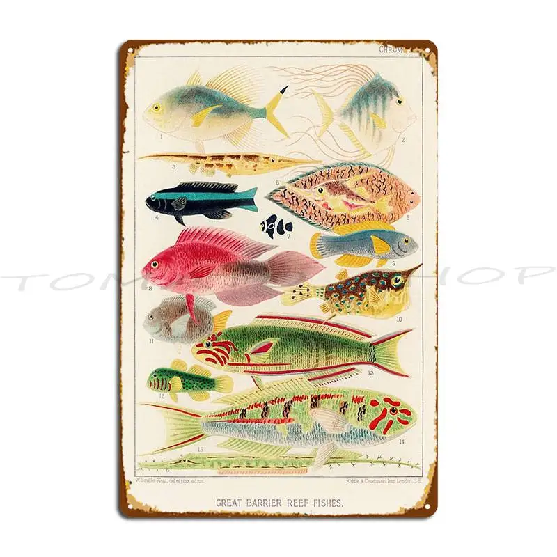 Vintage Great Barrier Reef Fishes Metal Sign Cinema Design Wall Decor Design Tin Sign Poster
