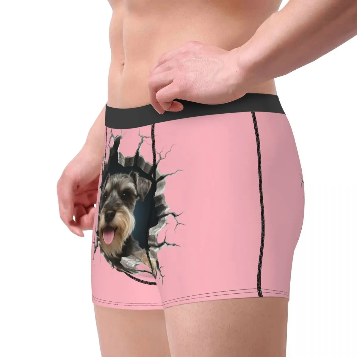 Schnauzer جدار قواطع الرجال الملاكمين ملخصات للزوج هدية عيد الحب الكلب عاشق الملابس الداخلية الجدة ملخصات السروال