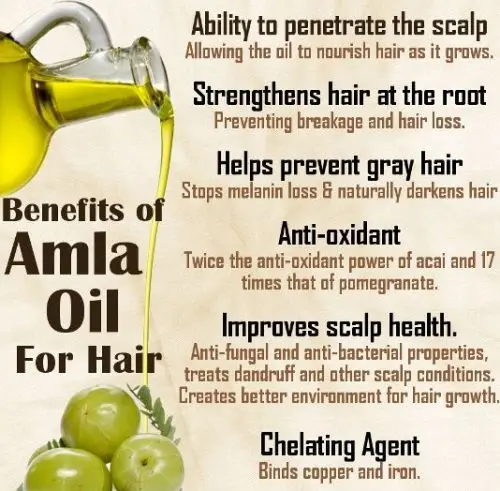 Dabur amla índia gooseberry crescimento do cabelo óleo poderoso velocidade alimentador evitar perda natural original vitamina e 200ml