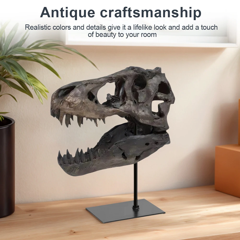 

Dinosaur Fossil Figurine Resin Replica Head Sculptures with Bracket Skull Sculptures Home Office Decorations