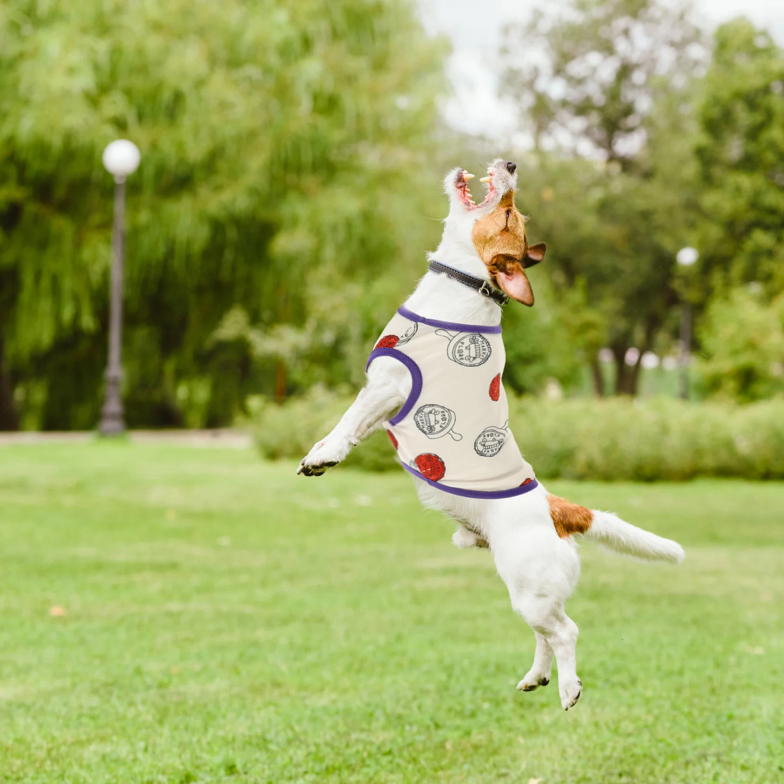 

Dress Cute Cartoon Design Easy Wear Machine Washable For Small Pets Outdoor Party Comfortable Pet Clothing