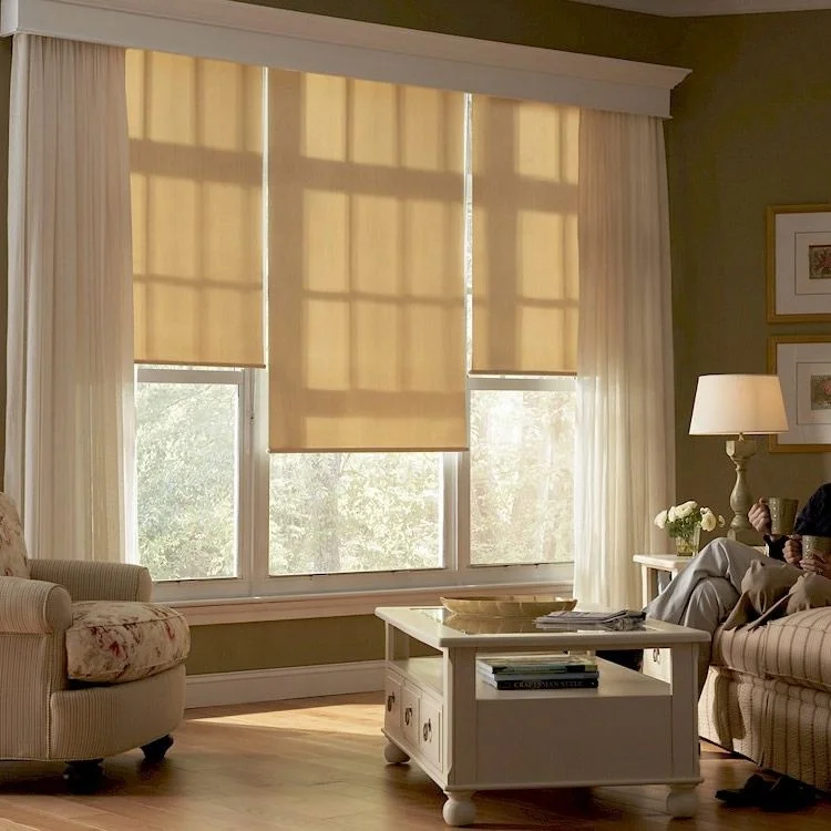 Double Shades Shutters Window Electric Blind Motor Motorized Roller Blinds