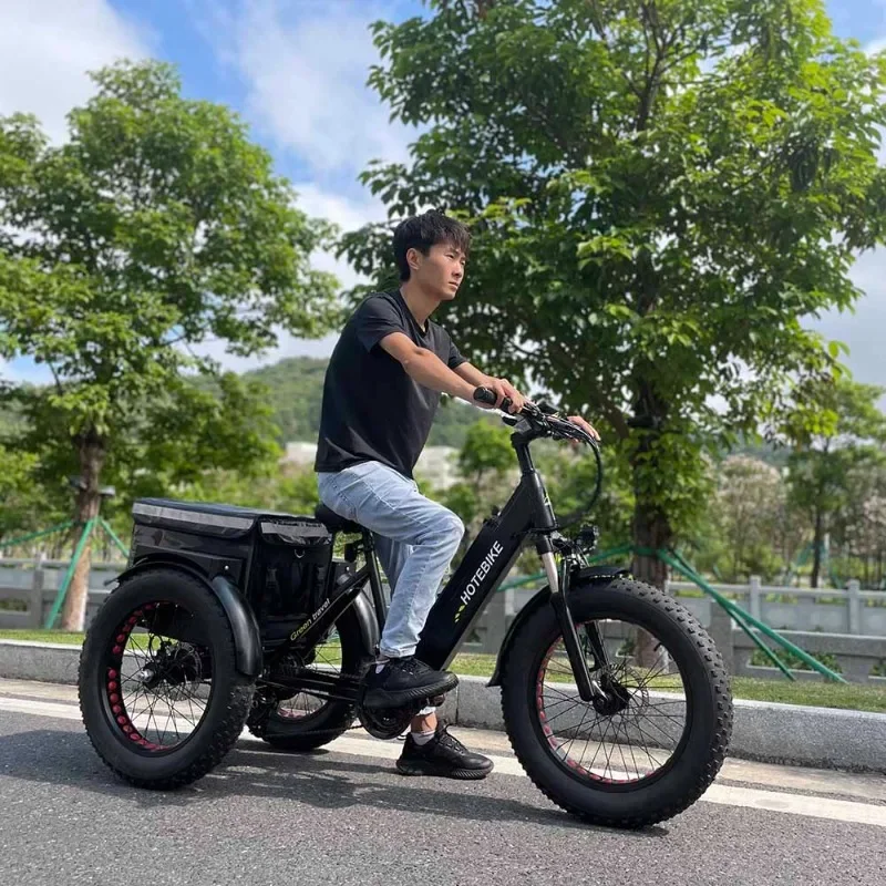 3 Wheel Electric Bike Fat Tire Electric Bike 20 26 inch 36V 48V 250W 350W 500W 750W Electric Tricycle