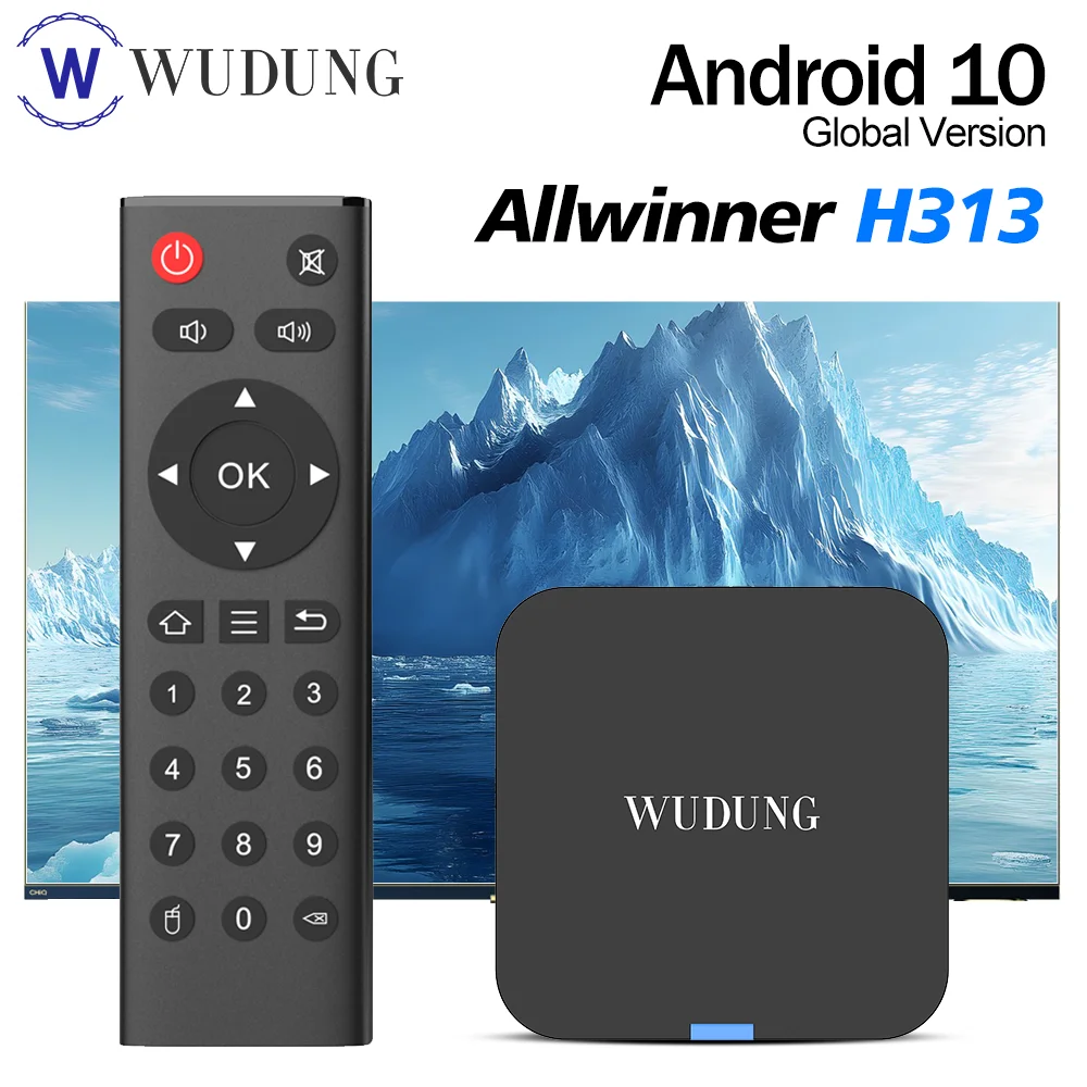 WUDUNG TX1 Mini Android 10 Smart TV Box Allwinner H313 2,4G Wifi 4K HD 2GB 16GB decodificador reproductor multimedia gran oferta