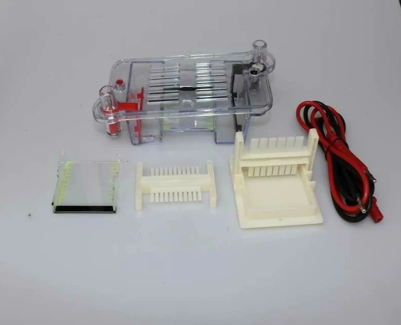 Horizontal Electric Agar Sugar Electrophoresis Tank High School New Curriculum Standard Molecular Separation Teaching Instrument