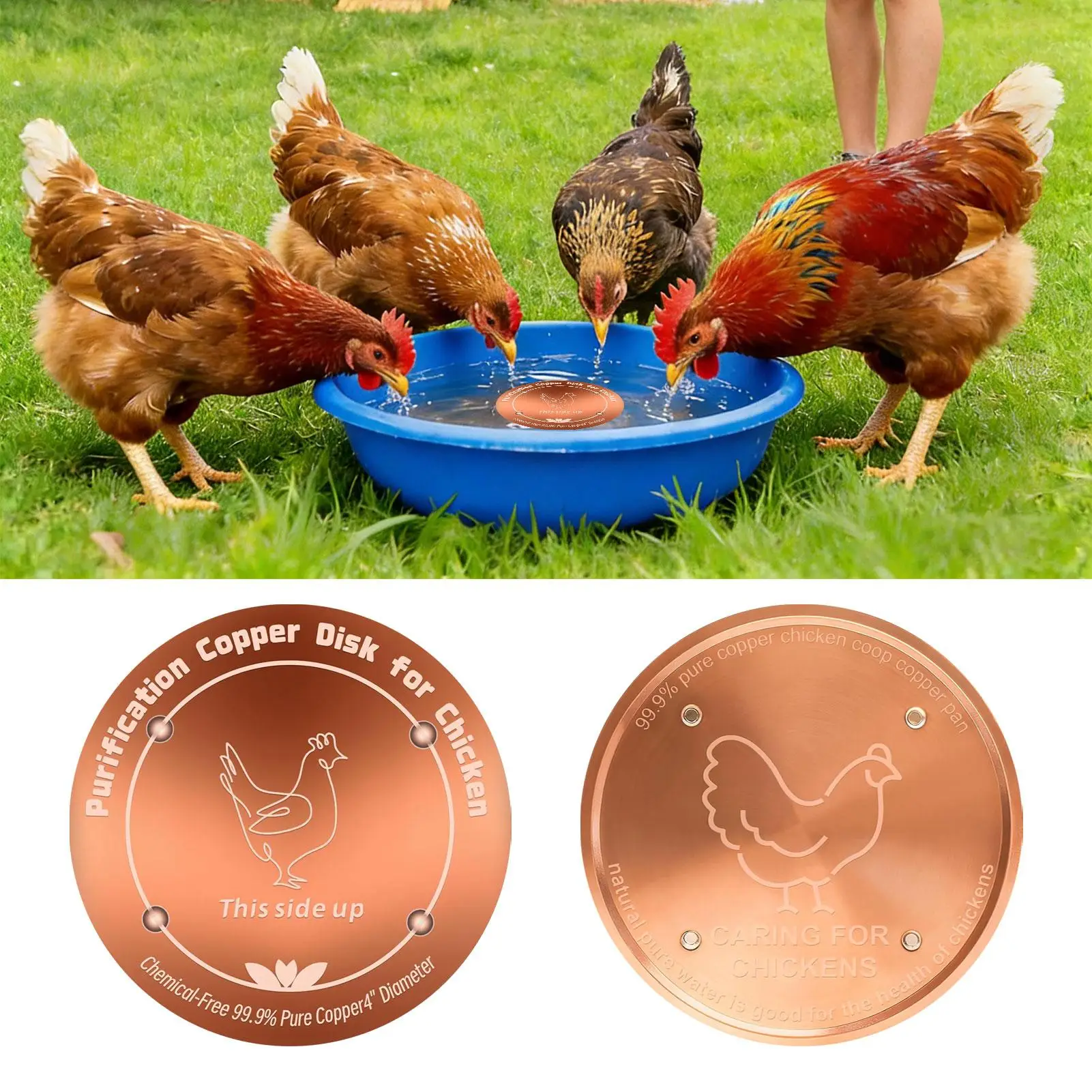 Copper Bird Bath Disc 4 Inches Water Cleaning Disc Copper Cleaning Disk for Outdoor Garden Patio Lawn Fountain Bowl Livestock - view 6