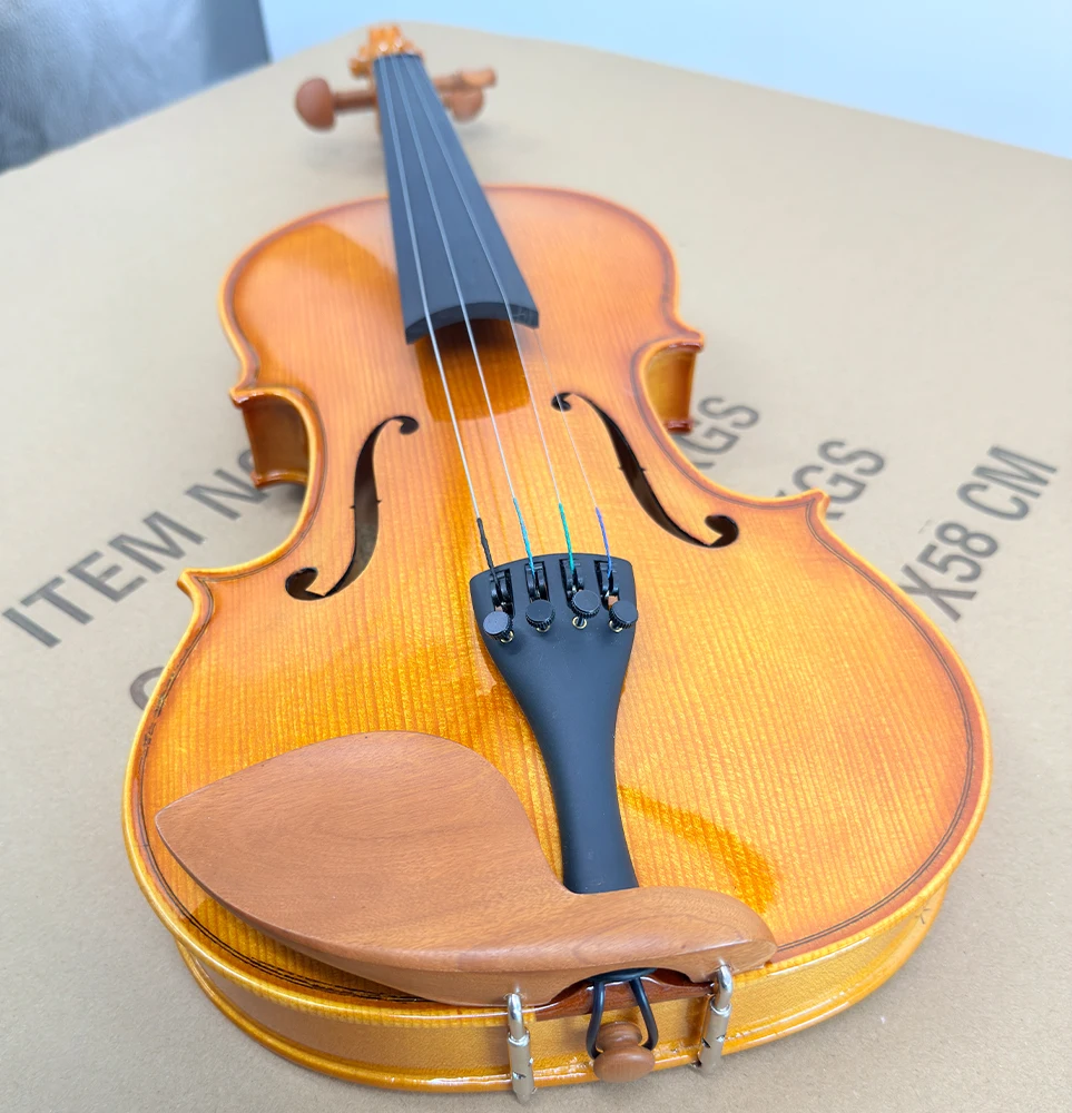 Beginner Violin Outfit 4/4-1/8 Size, Gloss Finish, Ebony Parts, Includes Case & Bow for Students
