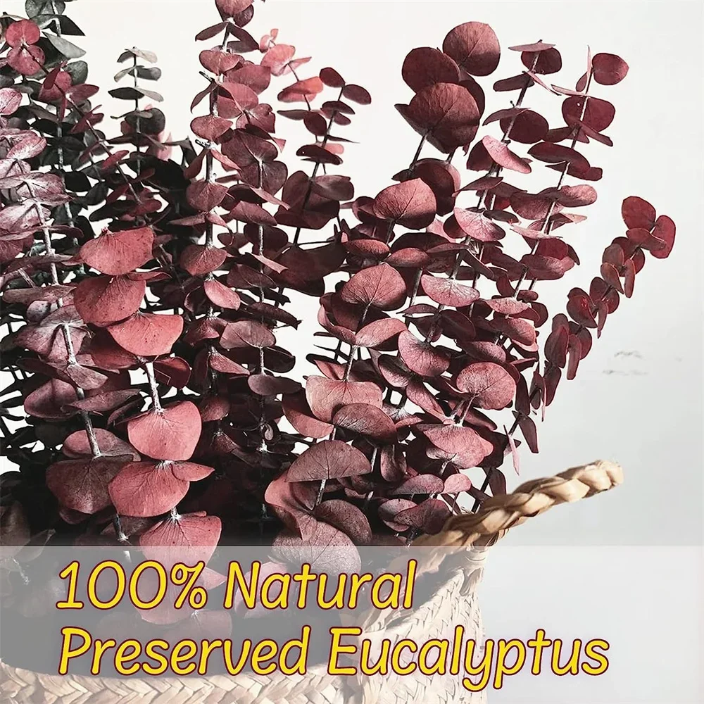 

Preserved Dried Eucalyptus Enchanting Branches Create Fall Ambiance in Your Home with Vase Fillers and Floral Arrangement