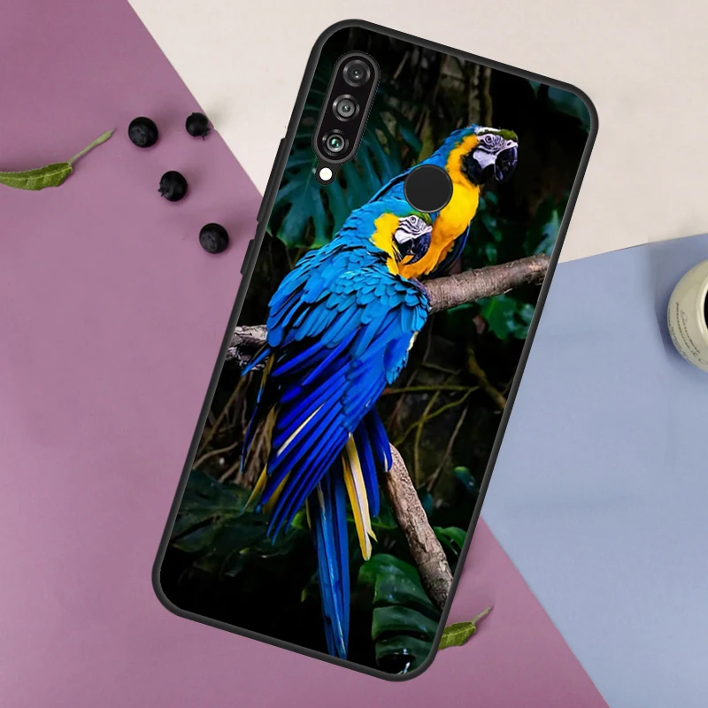 Parrot Bird Case For Huawei Nova Y60 Y61 Y70 Y90 Nova 11i 8i 3i 5T 9 10 SE P20 P30 P40 Lite Mate 60 Pro