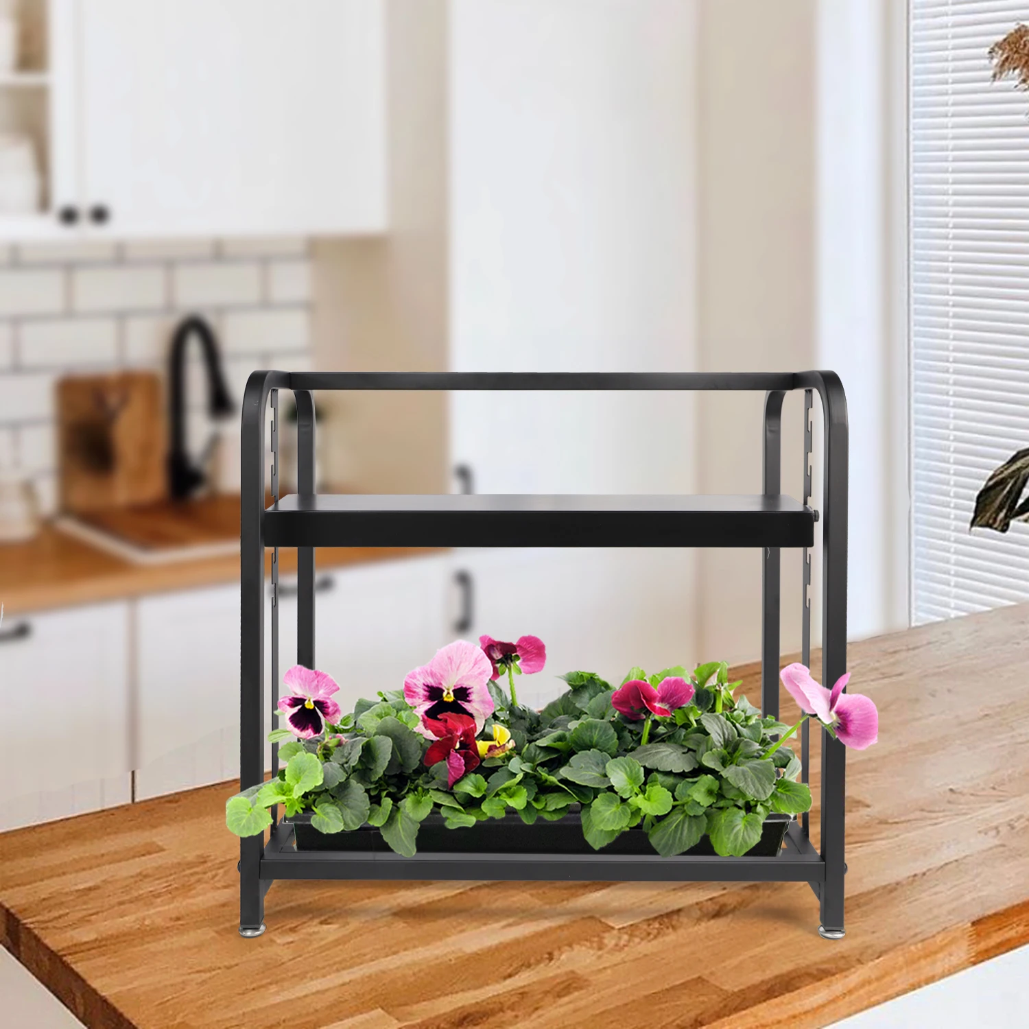 Interior casa huerto desktop display 1 bandeja suculenta microgreens flores crescer kit suporte mini jardim