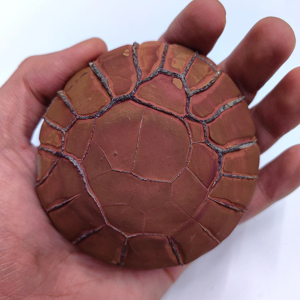 1PC Crystals Room Decoration Bronzite Natural Precision Collect Mountain Be Different From Others Asian Natural Stone Rock Reiki