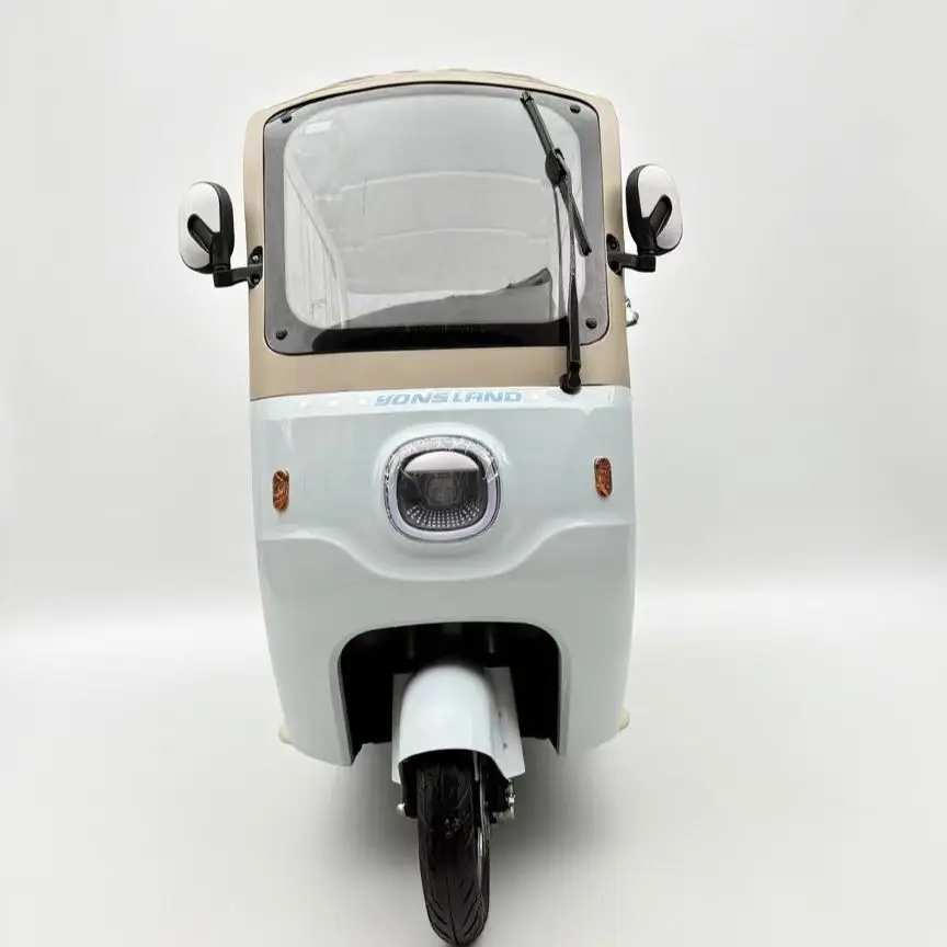

2025 New 60V 800W lead acid Electric Bike for Adults 3 wheels Tricycles with Roof Electric Tricycle