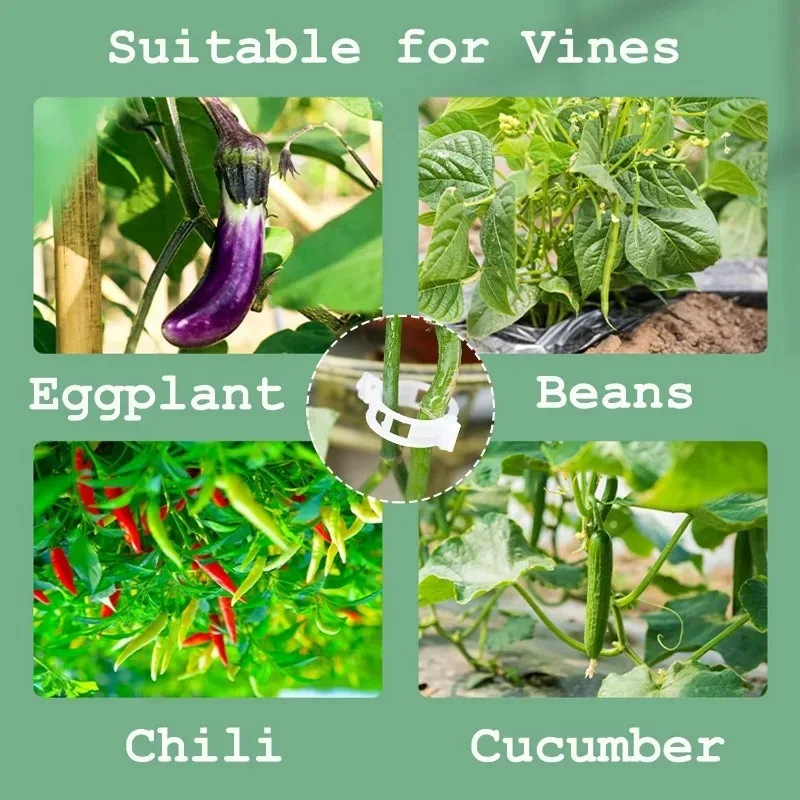 50 قطعة من مشابك الطماطم البلاستيكية، مشابك دعم النباتات للدعم، كرمة العنب، كرمة الطماطم، مشابك حديقة نباتات الخضروات #5