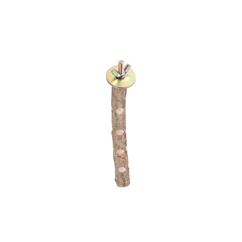  Multifunctional Parrots Stand Branch Grinding Scratchers Toy for Conure Toy Hammocks Standing Toy view 2