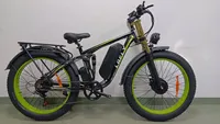 2023 Neue BLJ-DP-2602  26*4,0 Zoll 48V/2000W 21-Gang-Elektrofahrrad 48V/20ah Hydraulische Bremse Aluminium Legierung