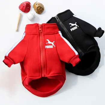 Manufacturer Customizes Pet Clothes 1