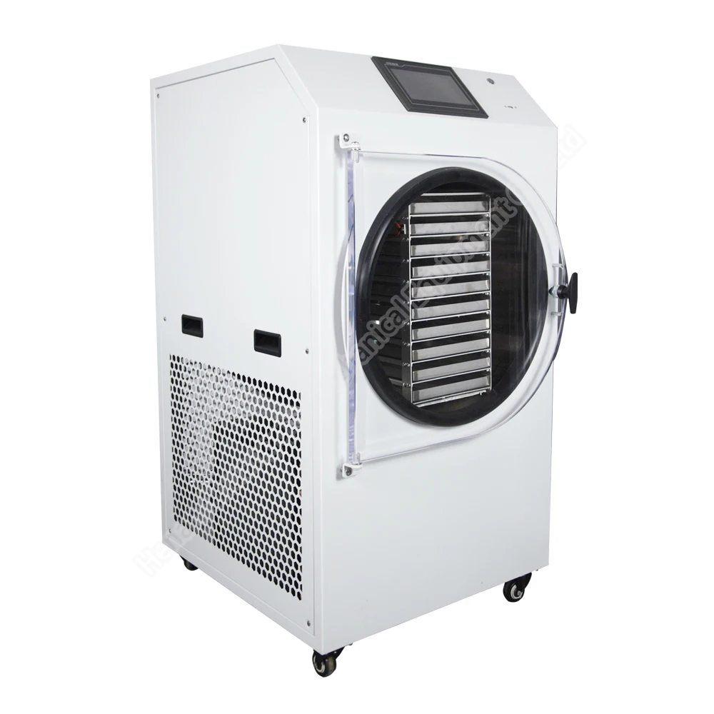 Fruit Vacuum Freeze Dryer 1000 Freeze Dryer Fruit Vegetable Freeze Dryer