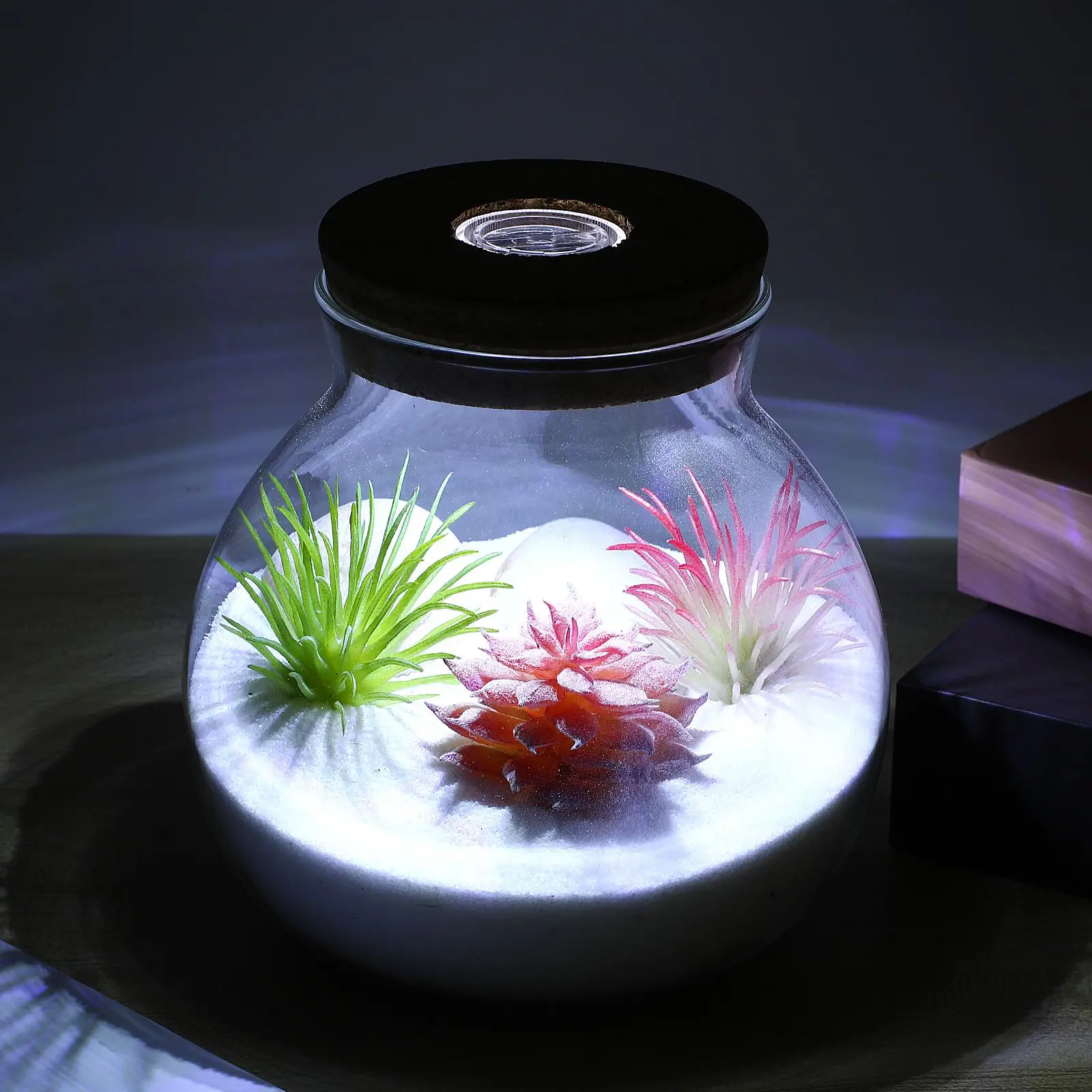 Submersible LED Light Ecological Bottle Artificial Plants Fish Tank Decorations Flowerpot Aquarium Lamp Lid