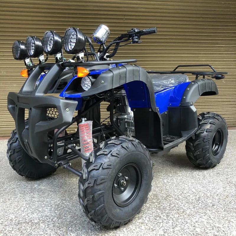 250cc Automatic 4-Stroke Off-Road 4-Wheel Sport Utility Youth Adult Kids Electric Gas ATV 2WD Max Speed 75-100km/h 2/4-Seater