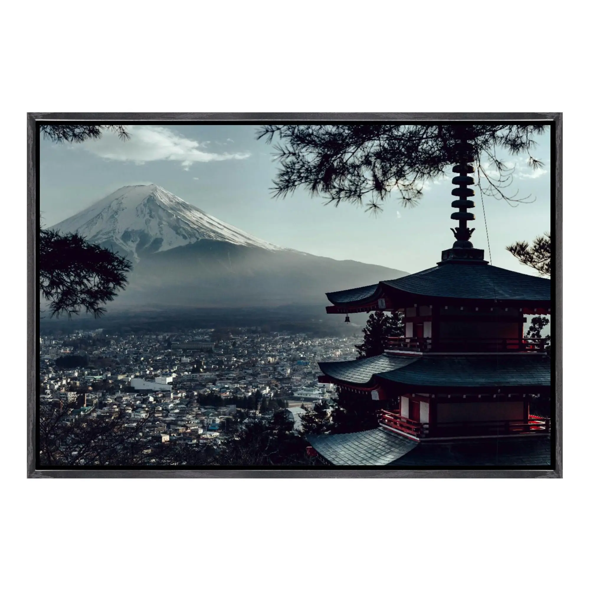 Fuji Mountain Lands…