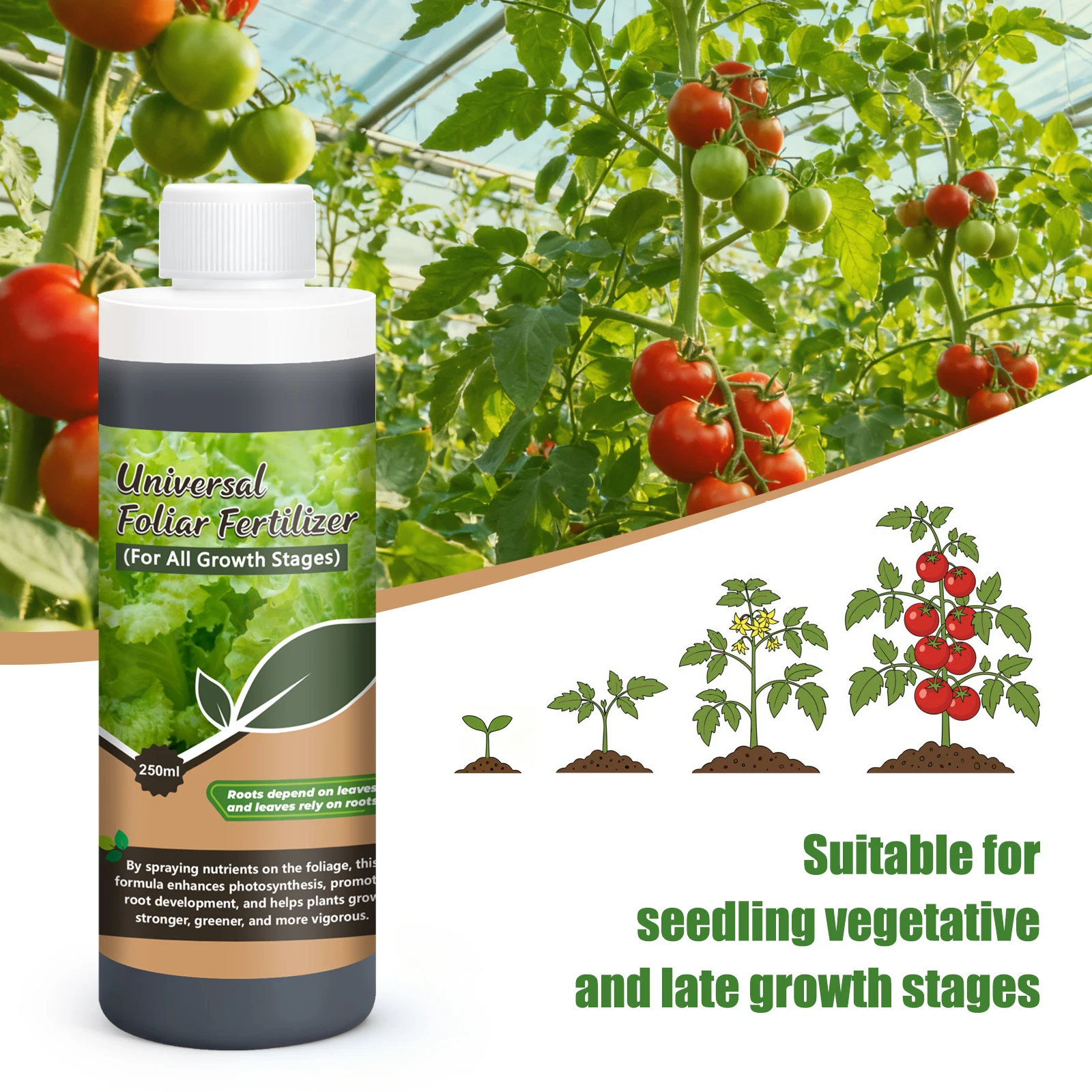 ปุ๋ยฉีดพ่นอเนกประสงค์สำหรับทุก - Liquid Fertilizer All In บทวิจารณ์และราคา
