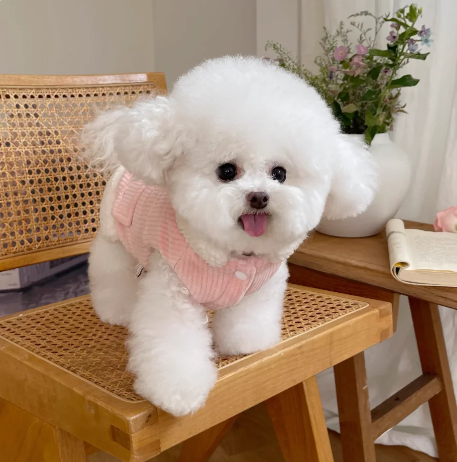 

Warm Pet Coat Vest Winter Dog Clothes Jacket Yorkshire Pomeranian Bichon Poodle Cat Dog Clothing Costume Small Dogs Chihuahua