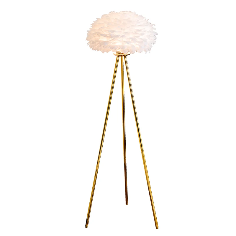 Imagem -06 - Nordic Creative Feather Floor Lamp Ins Girl Net Red Quente Lâmpada de Quarto Romântico Simples Luz Luxo Apto para Sala de Estar Sofá