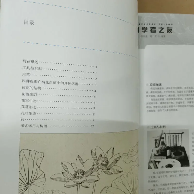 중국어 회화 Sumi-e 초보자 개요 스케치 흰색 그림 연꽃 참고서 입문 그림 교육 도서