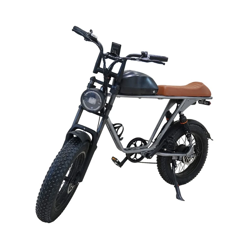 

Off-road type 20inch large wheel mountain snow off-road electric bicycle electric motorcycle