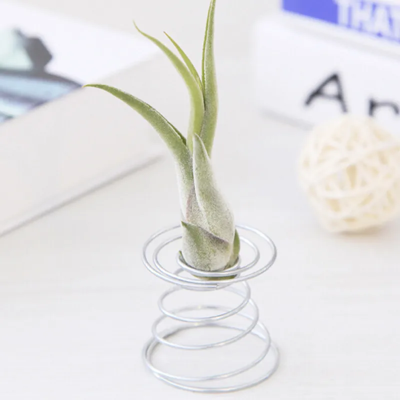 Hot Sell Metal Spring Air Plant Holder Hanging Rack Stand Containers Flower Holder Balcony Decor Silver Air Spring Base