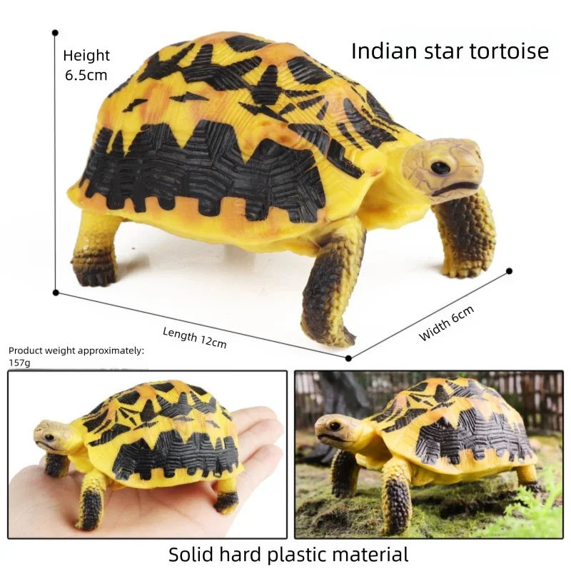 Oenux Simulations-Schildkröten-Set: Alligator, Galapagos-Schildkröte, Chinesische Weichschildkröte Figuren und Puppen – Detail 17