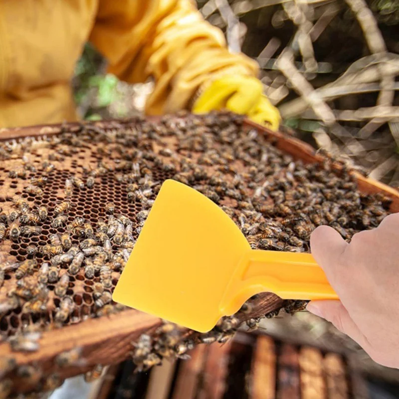 Honey Spatula Honey Extractor Honey Scraper Collecting Tool Practical Beekeeping Tool Beekeeping Supplies For Beekeeper