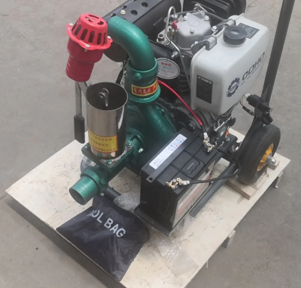 

Agriculture Irrigation Motor Diesel Water Pumps for Sale