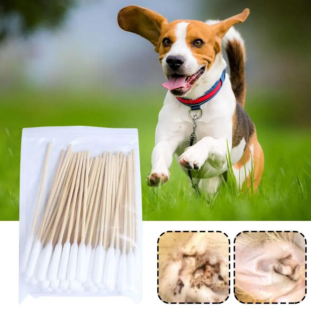 50/100Pcs Pet Ear Cleaner Cotton Buds Dog Ear Cleaner Cotton Swab Sticks Cotton Buds For Dog Cat Ear Wax Removal Pet Supplies