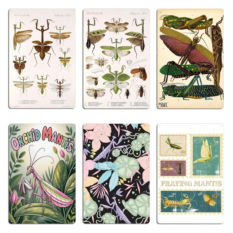 Praying Mantis Vintage Diagram Insect Bug Collector Praying Mantis Silhouettes Metal Iron Wall Cave Pub Mural Tin Sign Poster