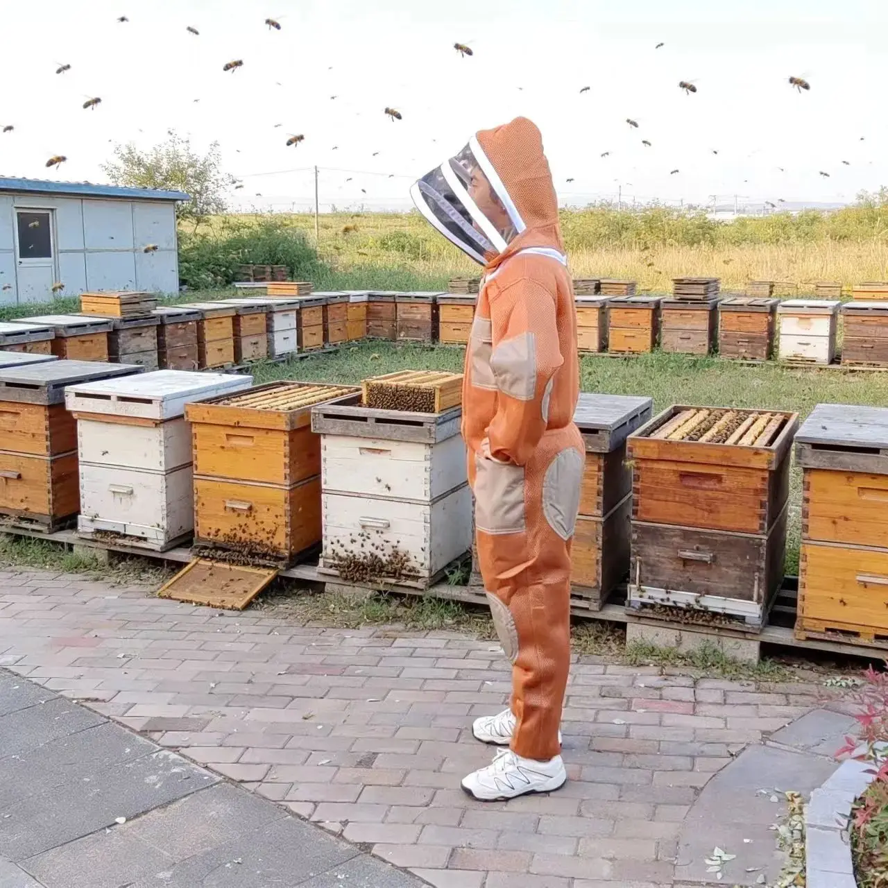 New Thickened Air Whole Body Conjoined Bee Equipment, 3D Breathable Anti-BeeBeekeeping Anti-Bee Clothing Protective Clothing