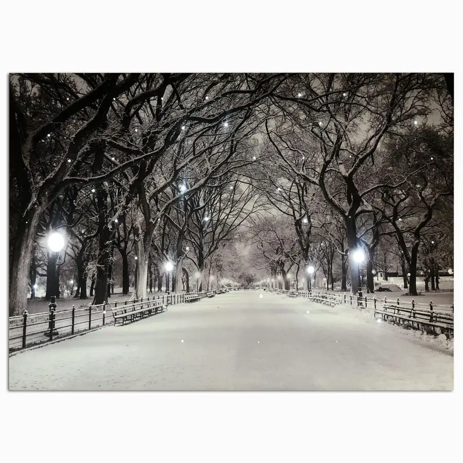 

Winter Scene Canvas Pictures Lighted for Wall Decor, Xmas LED Canvas Wall Art w Timer, Light Up Snowy Path Hanging Artwork, Peac