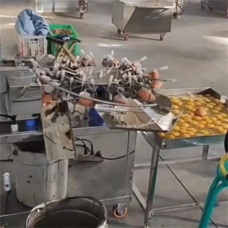 Automatic Egghell C…