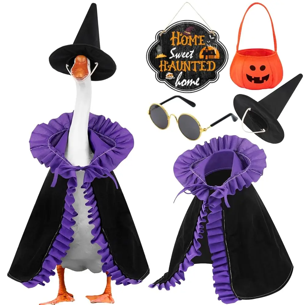 Halloween Porch Goo…