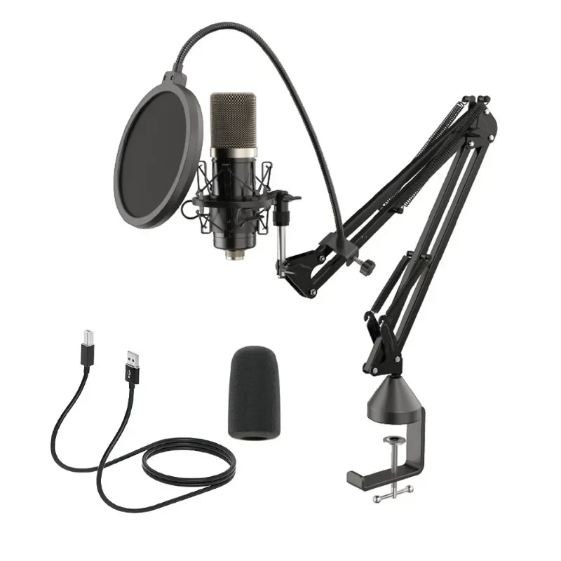 Cantilever professional large diaphragm condenser microphone recording studio singing and reciting live broadcast