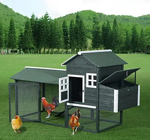Outdoor Cheap Pet Supplies Large Wooden Waterproof  Chicken Coop House with Chicken Nesting Box