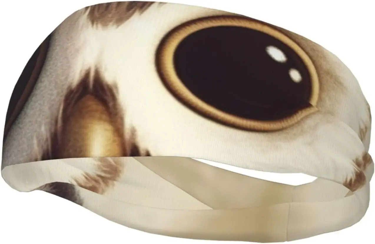 

Cute Owl Sweatbands for Men Women Moisture Wicking Athletic Fashion Non Slip Hairband for Tennis, Basketball, Running, Gym