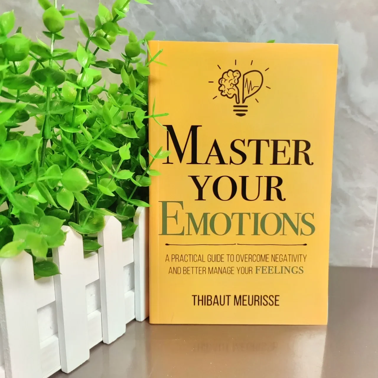 Master Your Emotions English Original Novel By Thibaut Meurisse Overcome Negativity And Better Manage Your Feelings Book