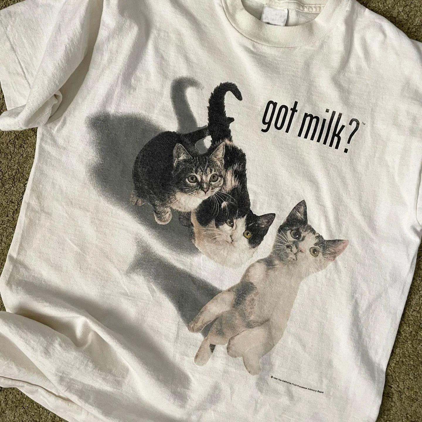 Realistic Style Pet  Short Sleeve T-Shirt Cute Healing Love Pet People Cotton Breathable round Neck Men Women Universal T-...