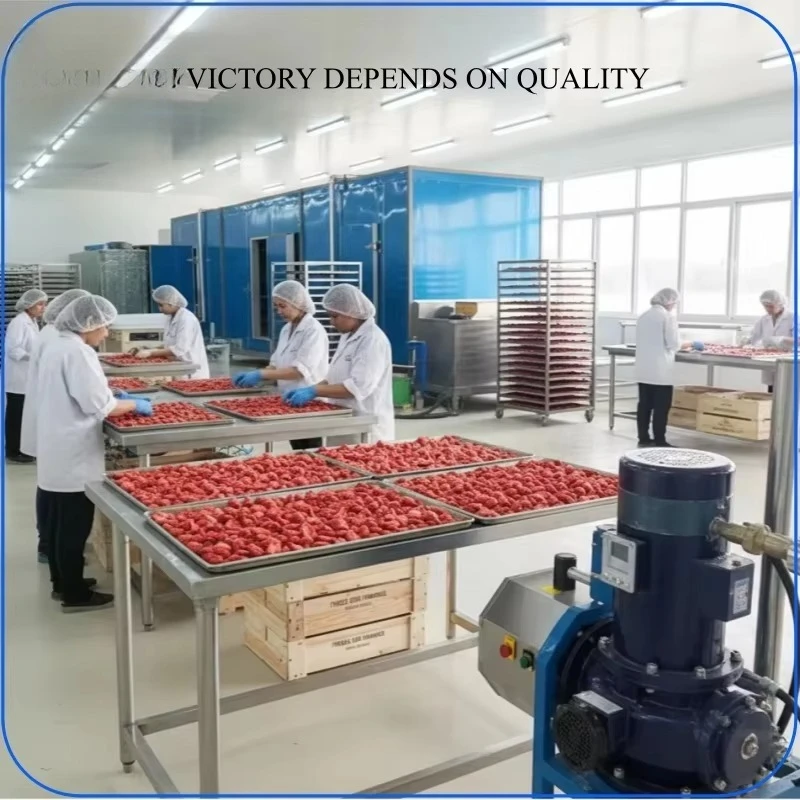 Fluidized Bed Quick Freezer for Frozen French Fries Vegetable Seafood Shrimp Dumpling IQF Food Processing Line Customized