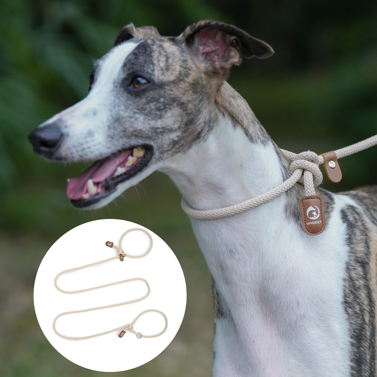 Walking Dog Rope For Running Jogging Belt With Hands Freely Pet Dog Adjustable Dog Harness-Leash Waist Belt Chest Strap Traction